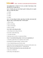 trac nghiem dia ly 10 bai 35 vai tro cac nhan to anh huong va dac diem phan bo cac nganh dich vu