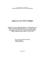 NGHIÊN CỨU ĐẶC ĐIỂM SINH HỌC VÀ ẢNH HƯỞNG CỦA MỘT SỐ NÔNG DƯỢC ĐẾN ONG Cotesia sp. (Braconidae  Hymenoptera) KÝ SINH SÂU NON SÂU XANH HAI SỌC TRẮNG Diaphania indica TRÊN CÂY DƯA LEO
