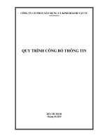 Quyết định ban hành Quy chế Quản trị và Quy trình Công bố thông tin QUY TRINH CONG BO