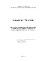 THỬ NGHIỆM MÔI TRƯỜNG NHÂN SINH KHỐI VI KHUẨN Bacillus spp. VÀ ĐÁNH GIÁ KHẢ NĂNG PHÒNG TRỊ BỆNH TRÊN MỘT SỐ CÂY RAU