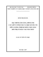 Đặc điểm lâm sàng, hình ảnh học cắt lớp vi tính não và một số yếu tố tiên lượng ở bệnh nhân chảy máu đồi thị có máu vào não thất (FULL TEXT)