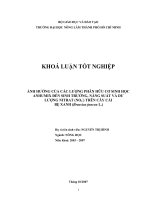 ẢNH HƯỞNG CỦA CÁC LƯỢNG PHÂN HỮU CƠ SINH HỌC ANHUMIX ĐẾN SINH TRƯỞNG, NĂNG SUẤT VÀ DƯ LƯỢNG NITRAT (NO3) TRÊN CÂY CẢI BẸ XANH (Brassica juncea L.)