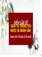 Điểm gặp gỡ giữa tư tưởng yêu nước và tư tưởng nhân văn trong tác phẩm Văn tế nghĩa sĩ Cần Giuộc của Nguyễn Đình Chiểu ppt