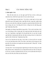 PHƯƠNG PHÁP PHÂN TÍCH CÂU THEO KẾT CẤU ĐỀ - THUYẾT TRONG CÂU TIẾNG VIỆT