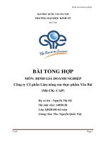bài thực hành tổng hợp định giá doanh nghiệp công ty cổ phần lâm nông sản thực phẩm yên bái