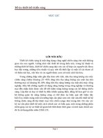 BÀI TẬP LỚN THIẾT KẾ CHIẾU SÁNG HỘI TRƯỜNG ĐẠI HỌC CÔNG NGHIỆP HÀ NỘI