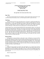 Hướng dẫn Bài tập Phân Tích Chính Sách Phát Triển