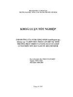 ẢNH HƯỞNG CỦA NẤM CỘNG SINH Scutellospora sp., Glomus sp. VÀ BỐN MỨC PHÂN LÂN ĐẾN SỰ SINH TRƯỞNG PHÁT TRIỂN VÀ NĂNG SUẤT CỦA BẮP LVN10 TRÊN NỀN ĐẤT XÁM TP. HỒ CHÍ MINH
