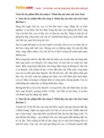 tom tat tac pham bat sau rung u minh ha cua nha van son nam