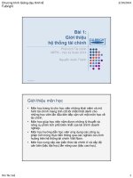 Bài giảng 1. Giới thiệu hệ thống tài chính