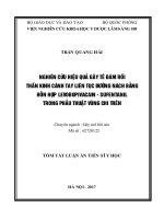 Nghiên cứu hiệu quả gây tê đám rối thần kinh cánh tay liên tục đường nách bằng hỗn hợp levobupivacain - sufentanil trong phẫu thuật và giảm đau sau mổ vùng chi trên (TT)