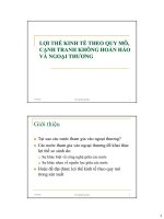 Bài giảng 5. Lợi thế kinh tế theo quy mô, cạnh tranh không hoàn hảo và ngoại thương