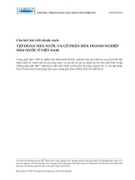 Câu hỏi Tình huống 8. Tập đoàn nhà nước và Cổ phần hóa doanh nghiệp nhà nước ở Việt Nam