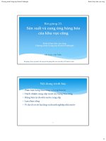 Bài giảng 23. Sản xuất và cung ứng hàng hóa của khu vực công