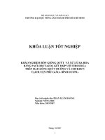 KHẢO NGHIỆM BỐN GIỐNG QUÝT VÀ XỬ LÝ RA HOA BẰNG PACLOBUTAZOL KẾT HỢP VỚI THIOUREA TRÊN HAI GIỐNG QUÝT ĐƯỜNG VÀ CHUKHUN TẠI HUYỆN PHÚ GIÁO– BÌNH DƯƠNG