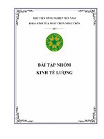 BÀI TẬP NHÓM KINH TẾ LƯỢNG: Sự ảnh hưởng của tổng sản phẩm quốc nội, lãi suất và mật độ dân số đến việc huy động vốn của Ngân hàng BIDV