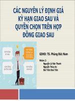 N2 - CÁC NGUYÊN LÝ ĐỊNH GIÁ KỲ HẠN GIAO SAU VÀ QUYỀN CHỌN TRÊN HỢP ĐỒNG GIAO SAU