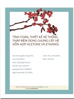 Thiết kế hệ thống tháp đệm dùng để chưng cất hỗn hợp Aceton  Etanol