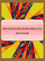 NHỮNG XUNG ĐỘT TƯ TƯỞNG LỚN TRONG  TÁC PHẨM CANDIDE VÀ SỰ LỰA CHỌN CỦA VOLTAIRE