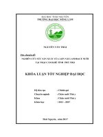 Nghiên cứu sức sản xuất của lợn nái ngoại landrace tại trại lợn cẩm khê   tỉnh phú tho 