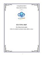 thực hành tổng hợp định giá doanh nghiệp công ty cổ phần tập đoàn nhựa đông á  dag