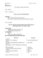 Giáo án vnen lớp 5 tuần 11 - 18