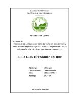 Theo dõi tỷ lệ mắc bệnh viêm tử cung và hiệu lực của phác đồ điều trị ở đàn lợn nái nuôi tại trại lợn phan tấn thành liên kết với công ty cổ phần xuất nhập khẩu biovet 