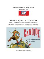 NHỮNG XUNG ĐỘT TƯ TƯỞNG LỚN TRONG  TÁC PHẨM CANDIDE VÀ SỰ LỰA CHỌN CỦA VOLTAIRE.