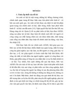 Thực hiện chính sách an sinh xã hội từ thực tiễn thành phố Đà Nẵng (tt)