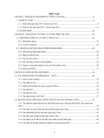 thực hành tổng hợp định giá doanh nghiệp định giá công ty cp ống thép việt đức