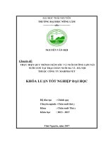 Thực hiện quy trình chăm sóc và nuôi dưỡng lợn nái nuôi con tại trại chăn nuôi ba vì   hà nội   thuộc công ty marphavet 