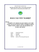 NGHIÊN CỨU ĐỊNH GIÁ BẤT ĐỘNG SẢN THẾ CHẤP TẠI NGÂN HÀNG NÔNG NGHIỆP  PHÁT TRIỂN NÔNG THÔN CHI NHÁNH BÌNH TÂY TP.HỒ CHÍ MINH 