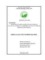 Ảnh hưởng của kiểu gen đến năng suất sinh sản của lợn nái landrace và yorkshire tại công ty TNHH lợn giống hạt nhân dabaco 