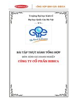 thực hành tổng hợp định giá doanh nghiệp công ty cổ phần bibica