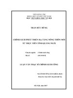 Chính sách phát triển hạ tầng nông thôn mới từ thực tiễn tỉnh Quảng Ngãi (LV thạc sĩ)