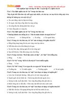 trac nghiem ngu van lop 10 bai luyen tap ve y nghia cua tu