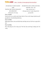 de thi hk2 mon lich su lop 11 truong thpt thuan thanh so 3 bac ninh nam hoc 2016 2017