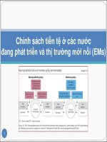 Bài giảng 23. Chính sách tiền tệ ở các nước đang phát triển và thị trường mới nổi (EMs)