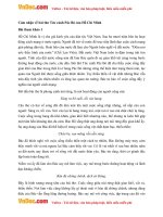 ngu van lop 8 cam nhan ve bai tho tuc canh pac bo cua ho chi minh