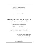 Chính sách phát triển nhân lực ngành y tế từ thực tiễn tỉnh Quảng Ngãi (Luận văn thạc sĩ)