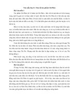 tom tat tac pham chi pheo cua nam cao