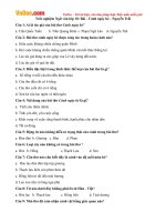 trac nghiem ngu van lop 10 bai canh ngay he nguyen trai