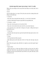 giai bai tap sgk lich su 11 bai 2