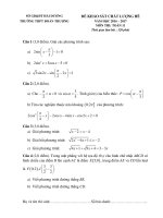 de kscl dau nam mon toan lop 11 truong thpt doan thuong 2016 2017