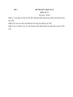 bo de thi giua hk2 mon lich su lop 11 co dap an