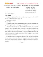 de thi hsg mon van lop 11 truong thpt thai phien hai phong nam 2015 2016