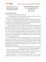 de thi hoa trang nguyen mon ngu van lop 12 truong thpt chuyen nguyen quang dieu nam 2016 2017 lan 1