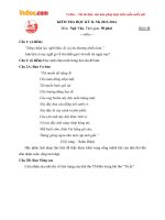 de thi hoc ki 2 mon ngu van lop 11 truong thpt gia dinh nam 2013 2014