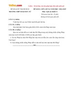 de thi giua hoc ki 2 mon lich su lop 11 truong thpt dao duy tu thanh hoa nam 2014 2015