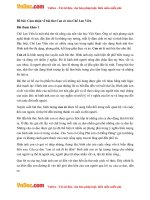 cam nhan ve bai tho con co cua che lan vien 1